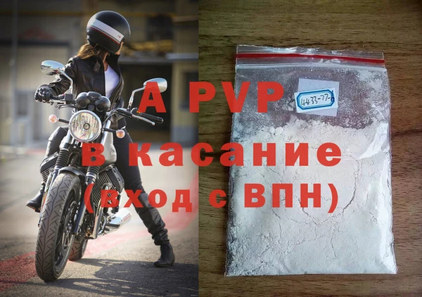 PSILOCYBIN Карпинск