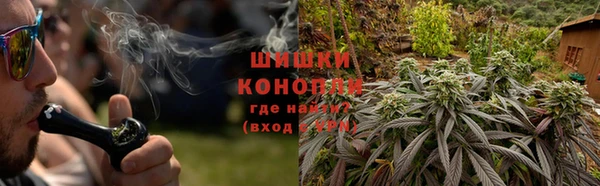 PSILOCYBIN Карпинск